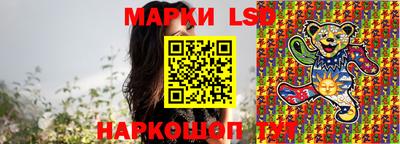 индика Ивантеевка